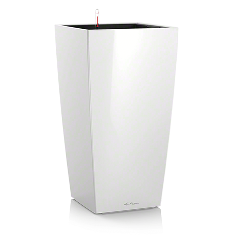 office plants lechuza cubico white